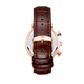 Color_White+Dark Brown