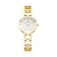 Color_White+Gold