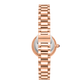Color_Rose Gold+Rose Gold